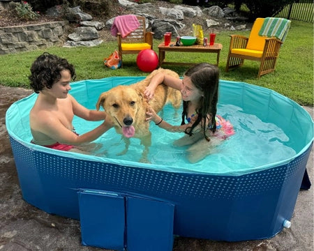 Piscine pliante taille m - Piscine pliable