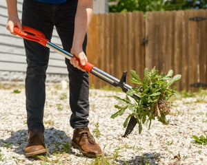 Desherbeur root slayer - Desherbeur