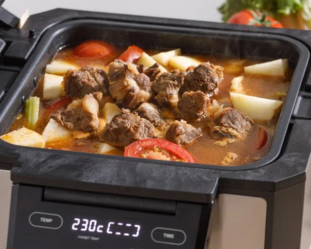 Gourmax pro + livre recettes - Grill multifonction