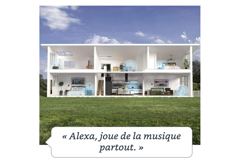 Nouvel Echo Dot (4e génération), Enceinte connectée avec Alexa, Anthracite - Maitighar