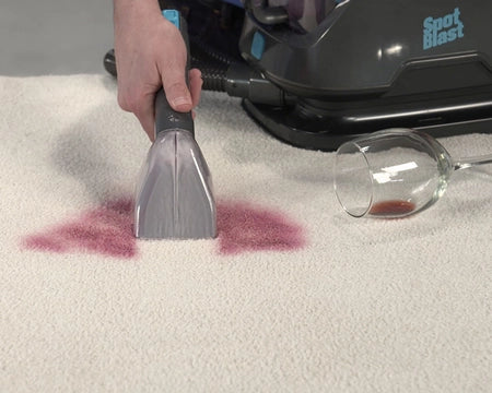 Wizzle - Shampouineuse portable - Maitighar