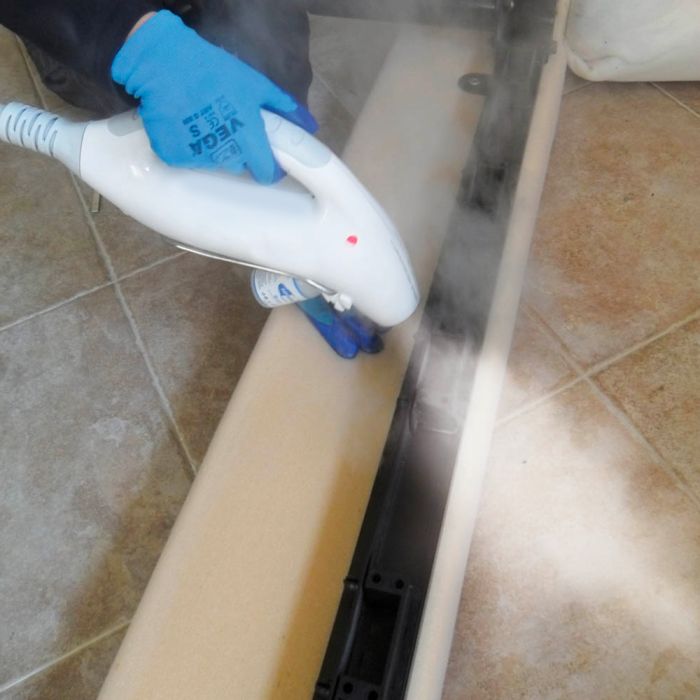 Nettoyeur vapeur punaise de lit Cimex Eradicator Plus - Maitighar