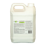 Charger l&#39;image dans la galerie, BIOCINOV Solution sans insecticide contre punaises de lit et autres insectes Capsinov - Maitighar
